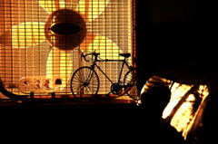 IMG_9800 - コピー