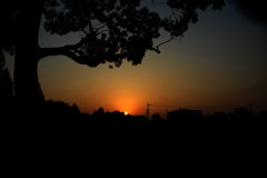 _DSC0132 - コピー