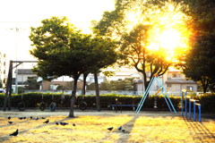 _DSC0216 - コピー