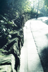 朝の参道
