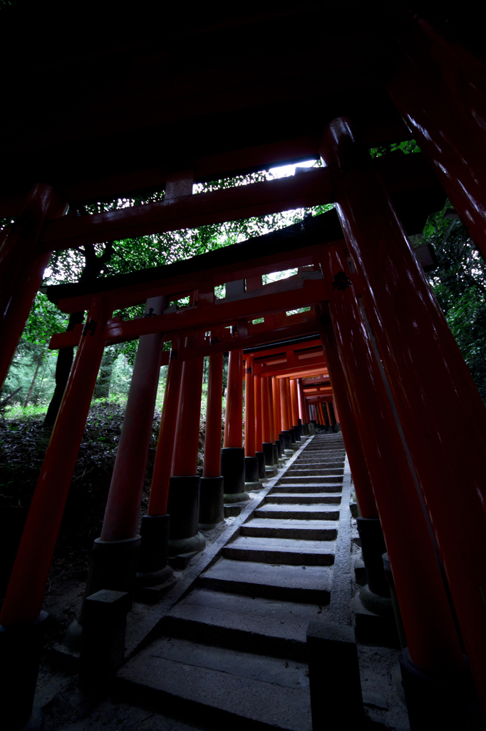 進むべき道