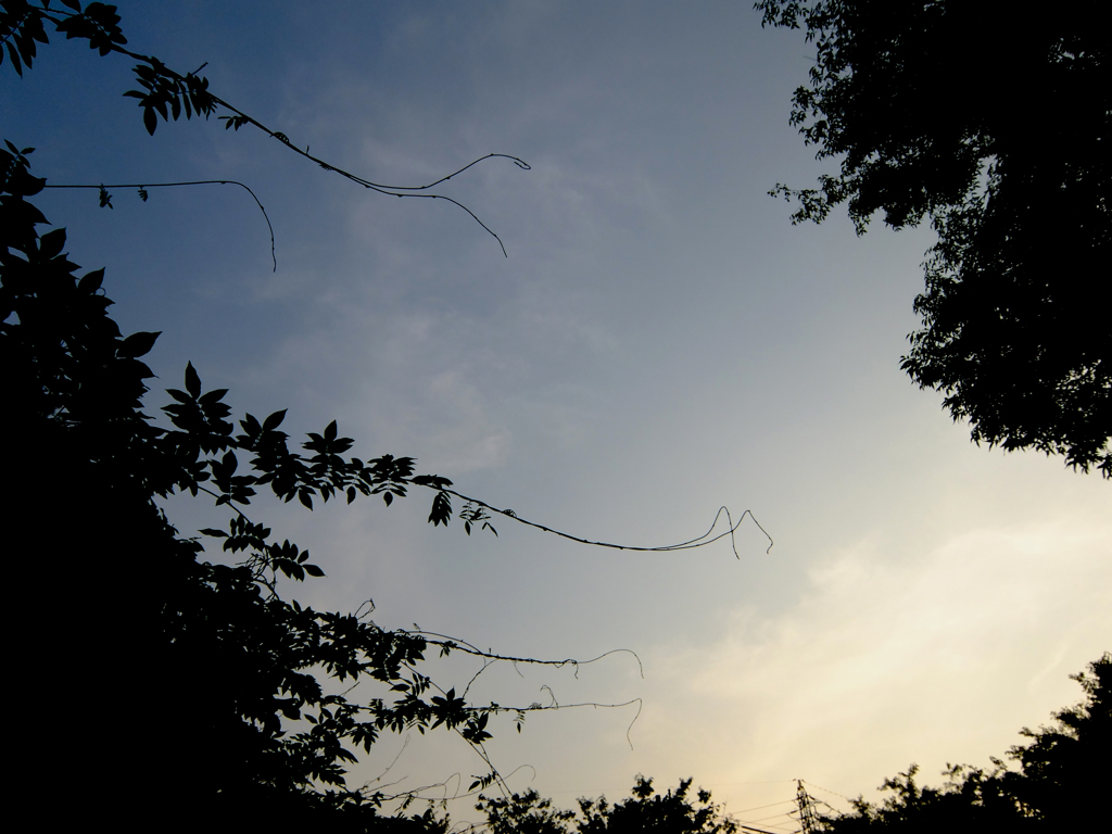 夕暮れの公園にて