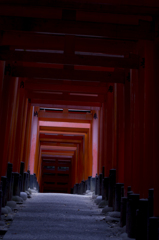その先の光