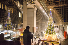 京都駅のクリスマスツリー2