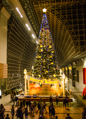 京都駅のクリスマスツリー1