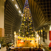 京都駅のクリスマスツリー1
