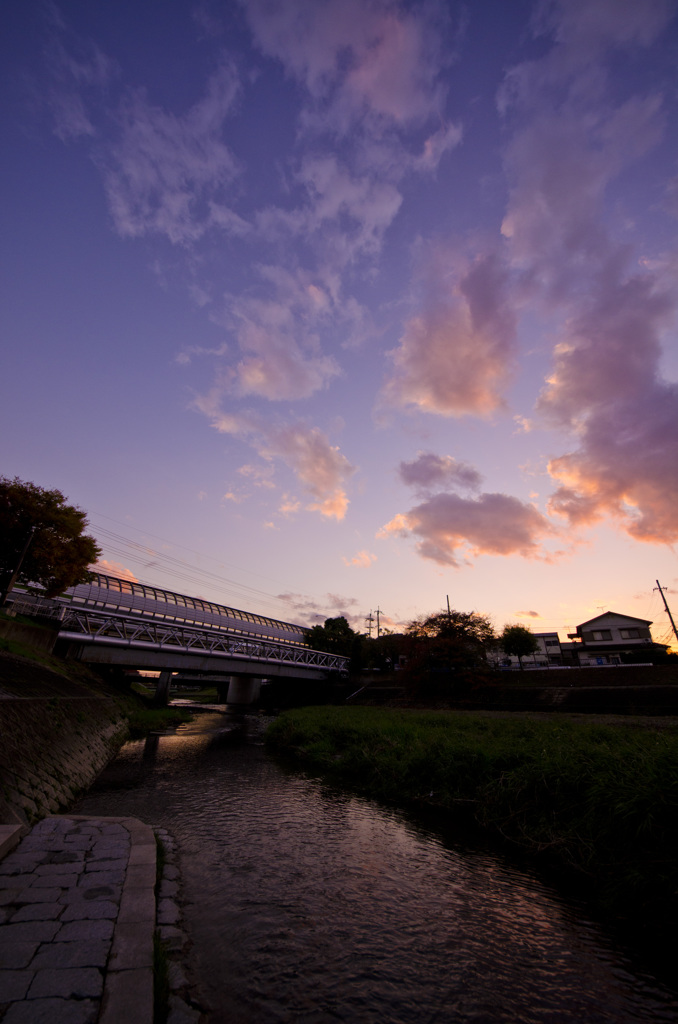 近所の河川敷にて　1