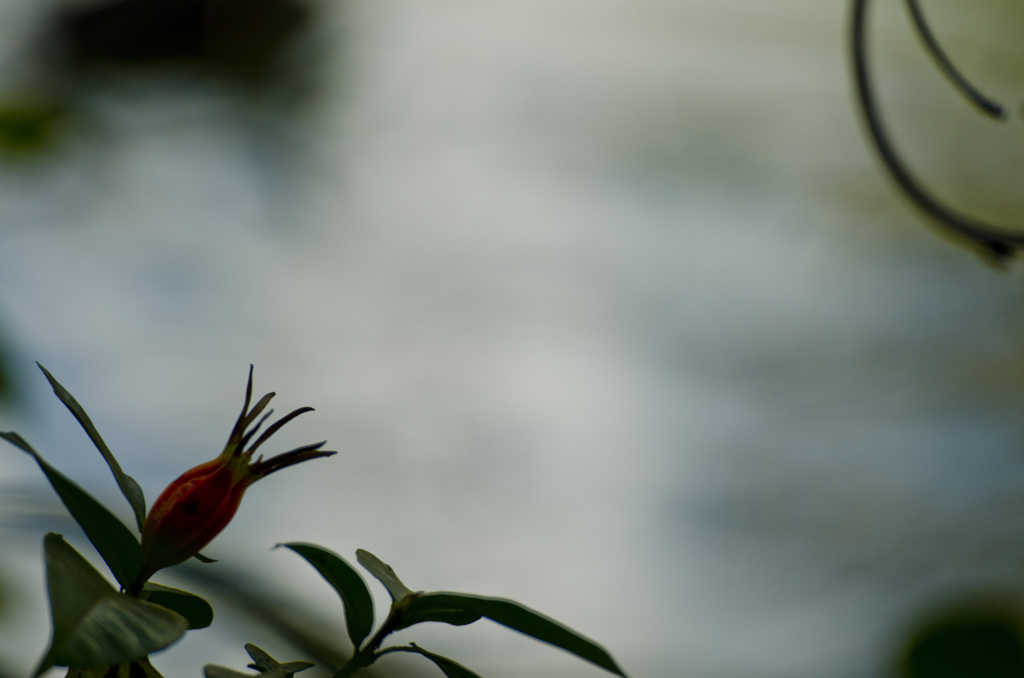 我思う故に我あり