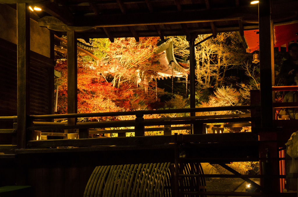 毘沙門堂の紅葉　ライトアップ　2