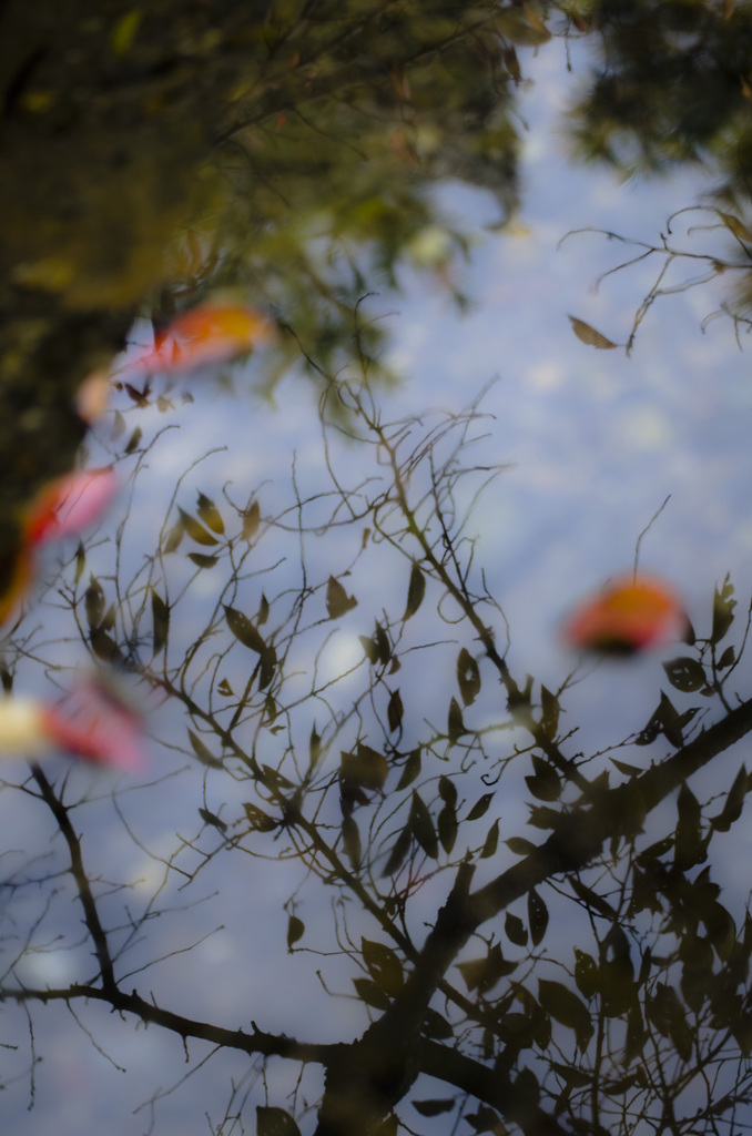 水のキャンバス