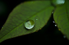 雨上がりの宝石　Ⅱ