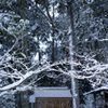 雪の京都　新熊野神社5