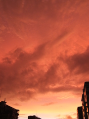 何か言いたげな夕暮れ