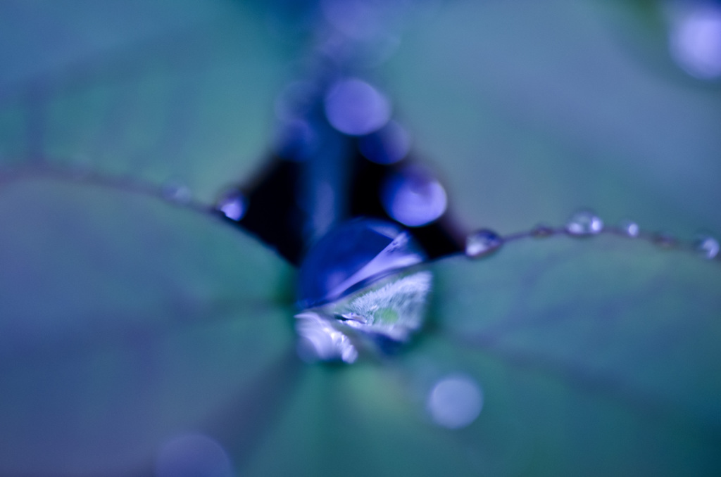 雨上がりの宝石　Ⅰ