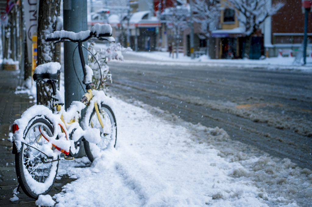 雪の京都　自転車