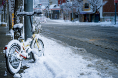 雪の京都　自転車