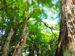 マイナスイオン