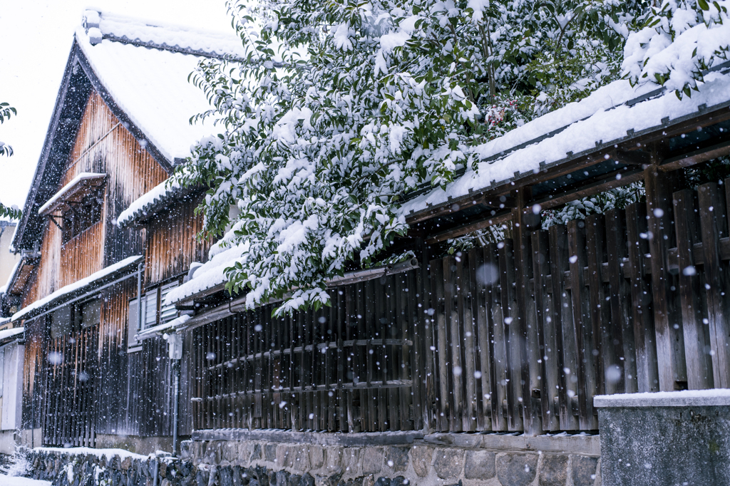 雪の京都　新熊野神社3