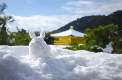 雪の金閣寺9