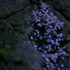 宴のおわり 10