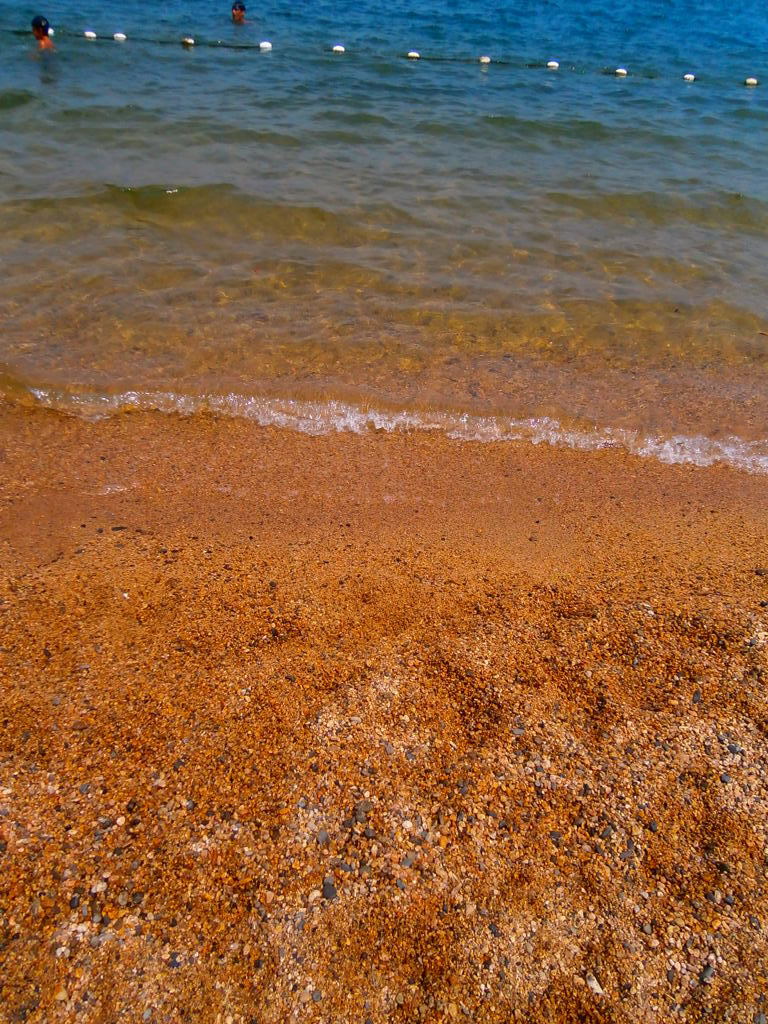 夏の海