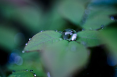 雨上がりの宝石　Ⅲ