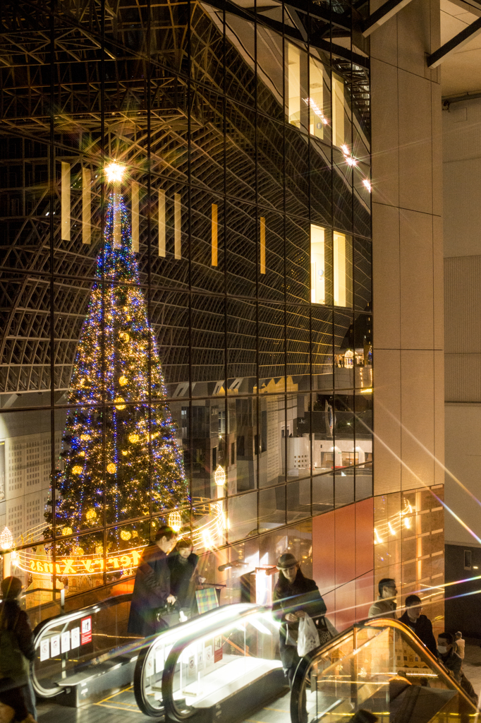 京都駅のクリスマスツリー4