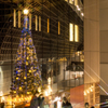京都駅のクリスマスツリー4