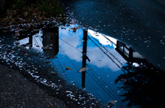 雨上がり