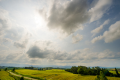 夏の北海道6
