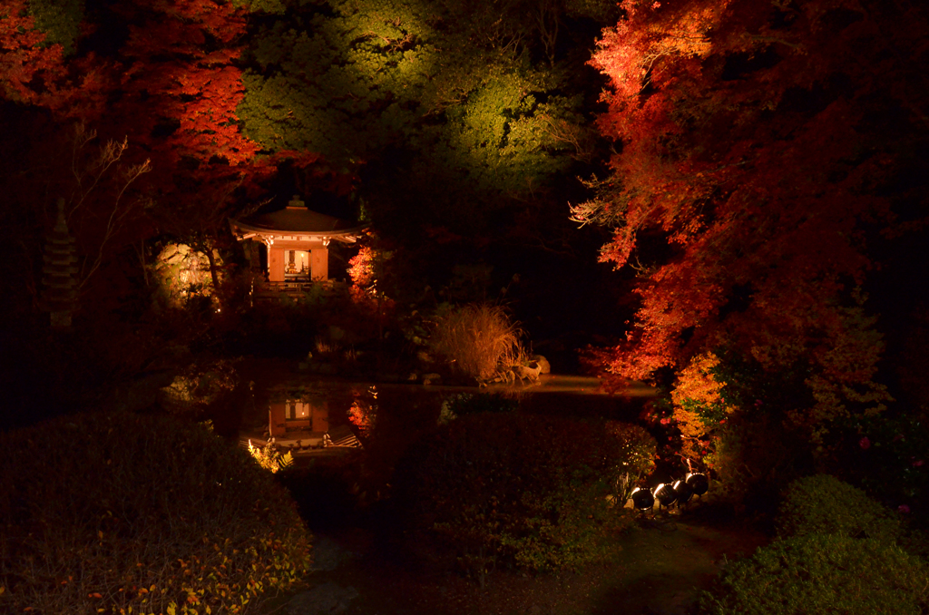 毘沙門堂の紅葉　ライトアップ　7
