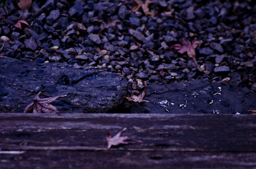 nontitle