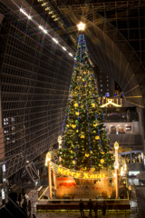 京都駅のクリスマスツリー3