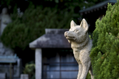 即成院の狛犬1