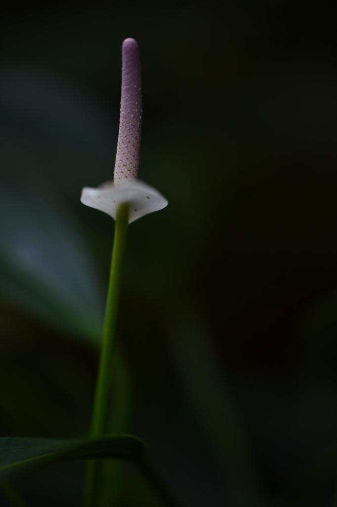 一人の時間