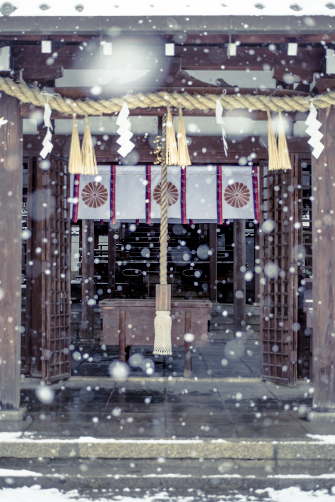 雪の京都　新熊野神社2