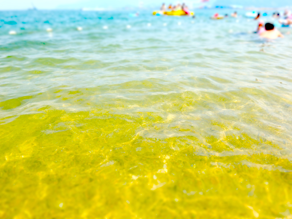 海