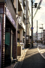 朝の道