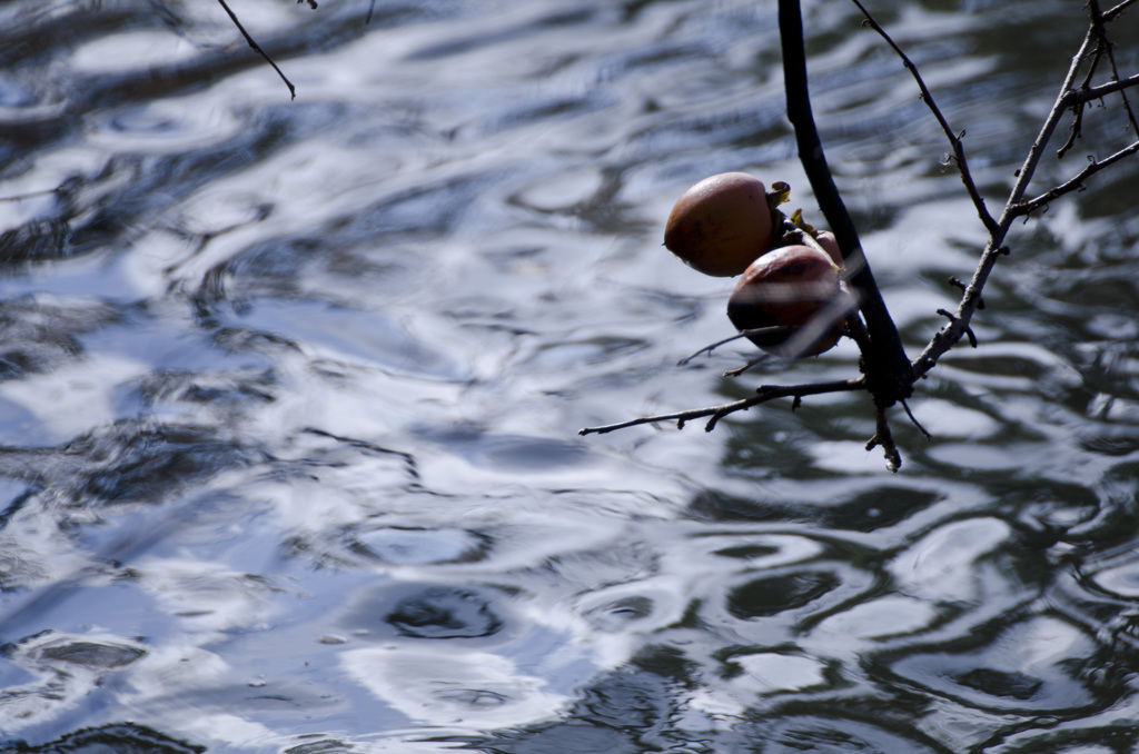 冷たさに耐えて