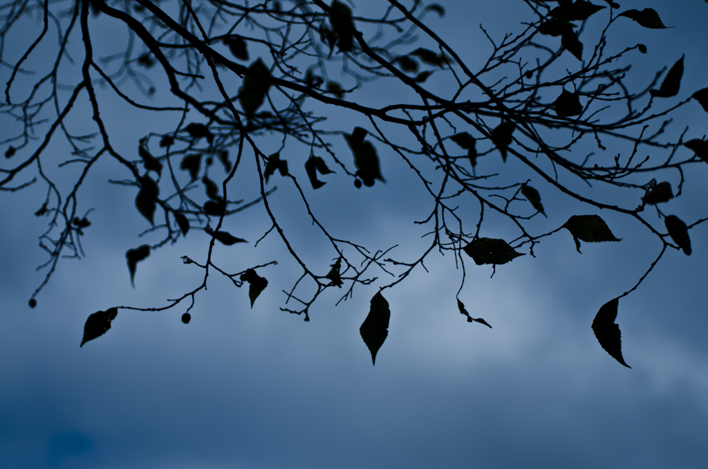 空