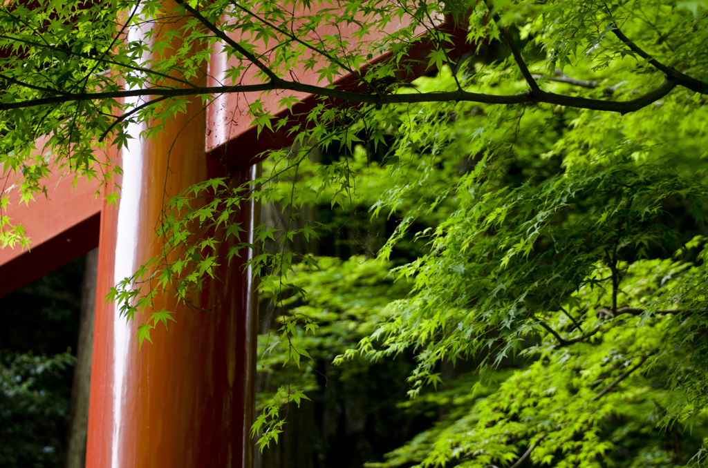 貴船神社　３