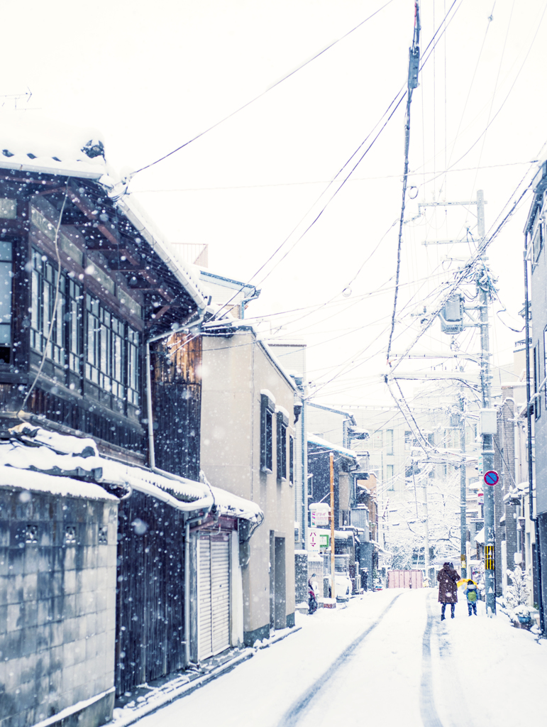 雪の京都　親子