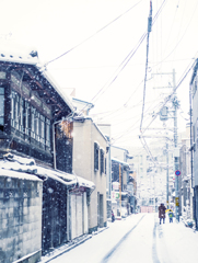 雪の京都　親子