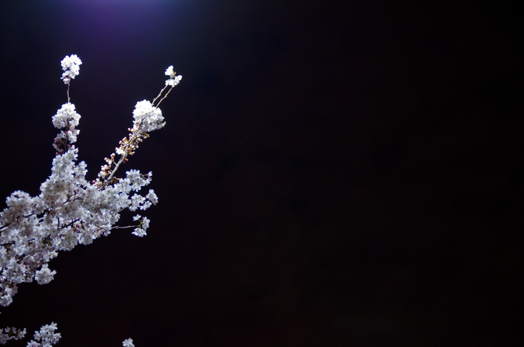 外灯のスポットライト