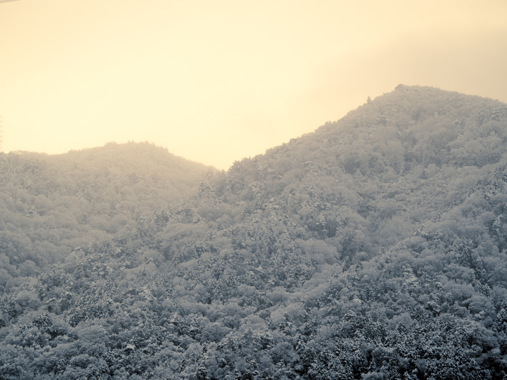冠雪