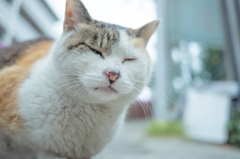 DxO Film Pack 練習ベース