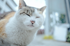 DxO Film Pack 練習2