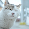 DxO Film Pack 練習2
