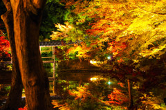 いつかの京都。