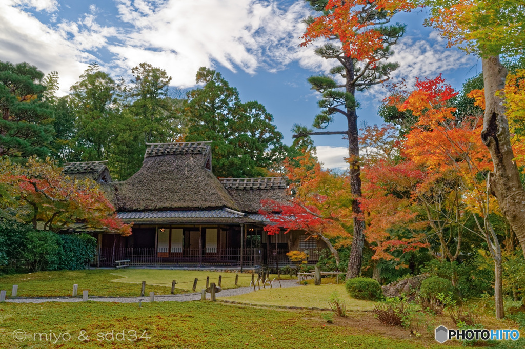 吉城園（茶室と苔庭）